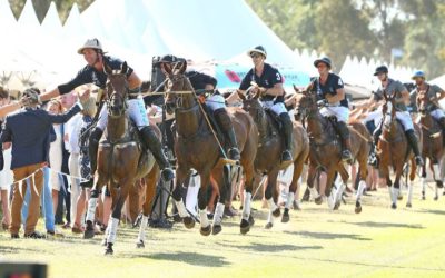 Polo in the City Melbourne | Mastering Interstate Event Catering